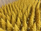 Christmas candles