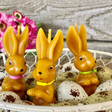 Maľovaný zajko tenký