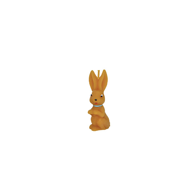 Painted bunny