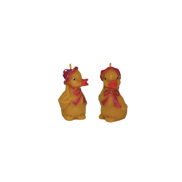 Duck with a hat