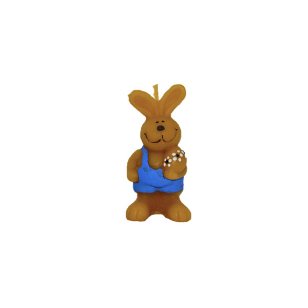 Bunny in trousers with egg