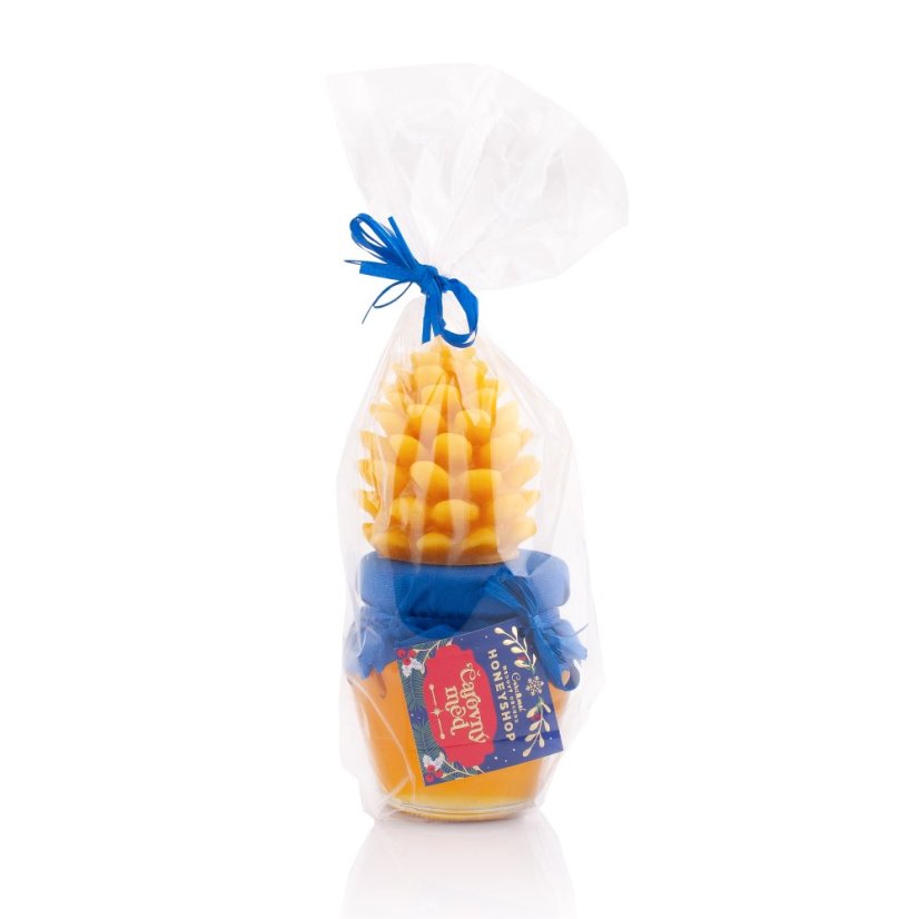 Blue Magical Gift Bag Candle & Honey