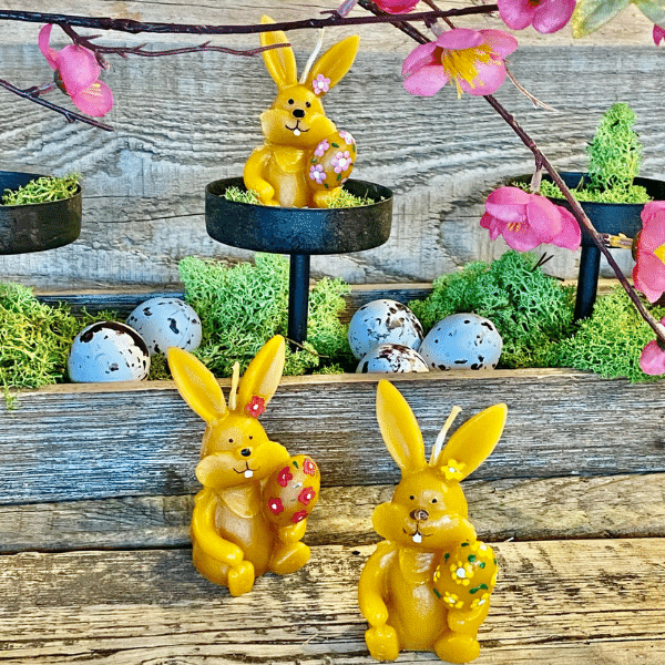 Bunny with flowers on his ear