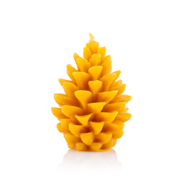 Pine cone Pine cone