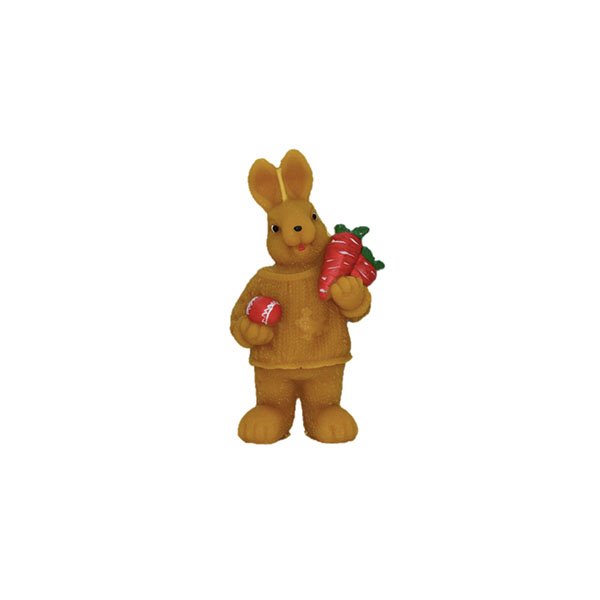 Big bunny with carrots