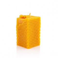 Honeycombed block with bee
