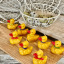 Duck with raffia