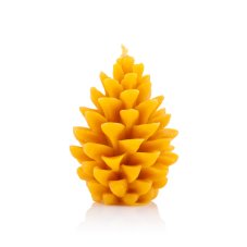 Pine cone