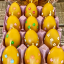 Painted egg