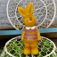 Bunny in a T-shirt