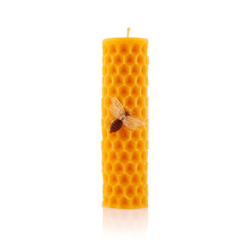 Tall honeycomb pillar with bee