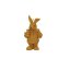 Big bunny with duck