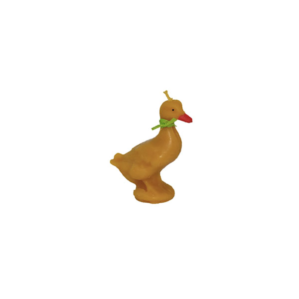 Big goose